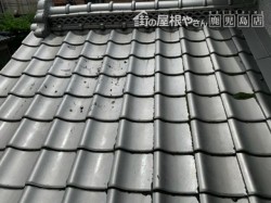 雨漏り発生部分 屋根の様子