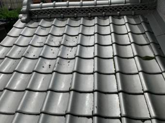 雨漏り発生部分 屋根の様子
