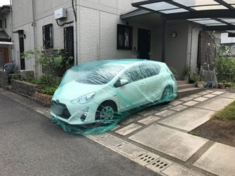 水養生