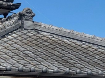 棟とは