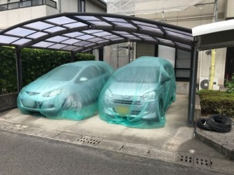 水養生