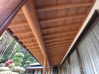 IMG_0978-1-columns2