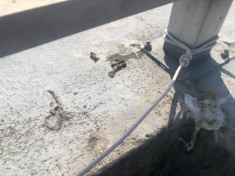 ウレタン防水 立ち上がり部分傷み