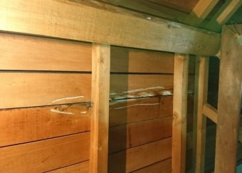屋根裏部屋 雨漏れ発生部分