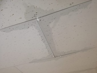 雨漏れ発見