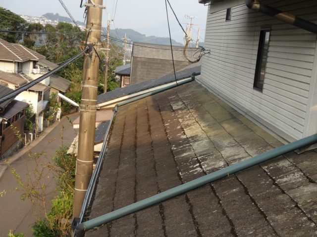 スレート屋根カビ状況